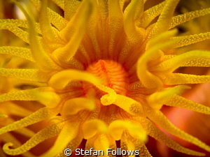 "Set the controls for the heart of the sun" Pink Floyd. C... by Stefan Follows 